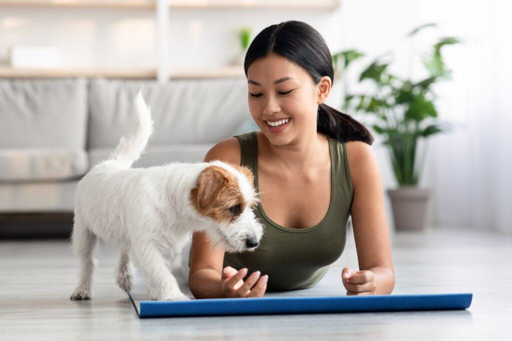 Cute puppy in our Puppy Yoga Retreat