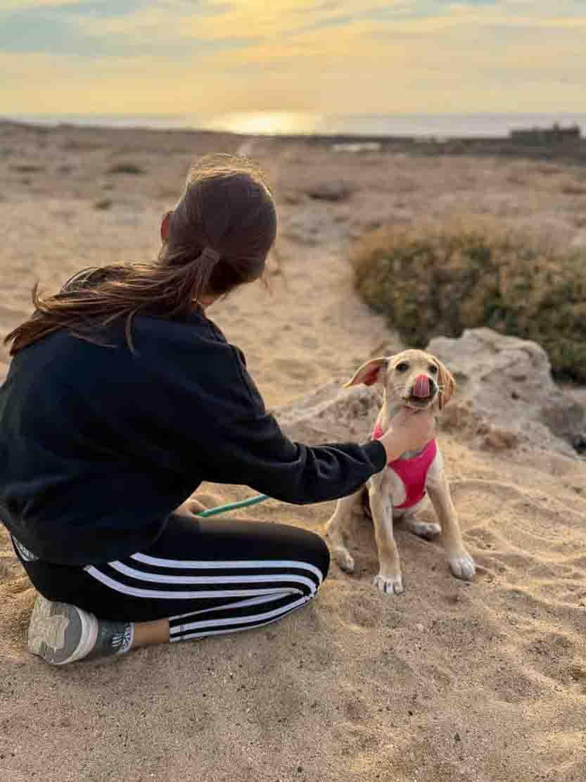 Puppy-Beach-Walk-Paphos-5.jpg
