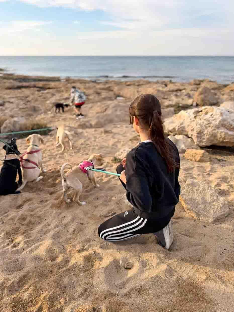 Puppy-Beach-Walk-Paphos-7.jpg